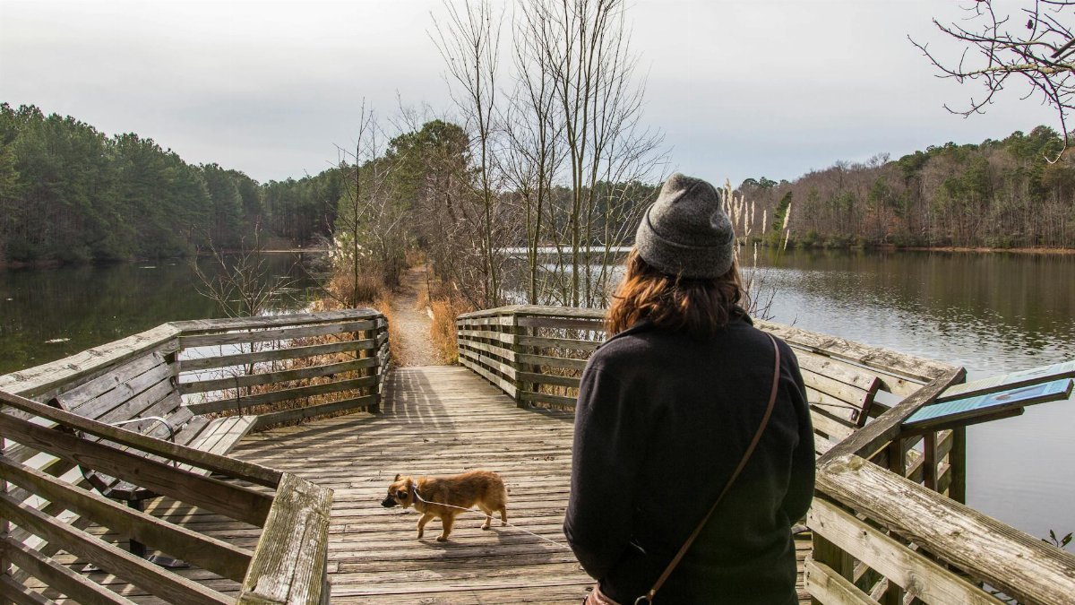 A woman and her dog enjoying a peaceful walk on a wooden pier by a serene lake.