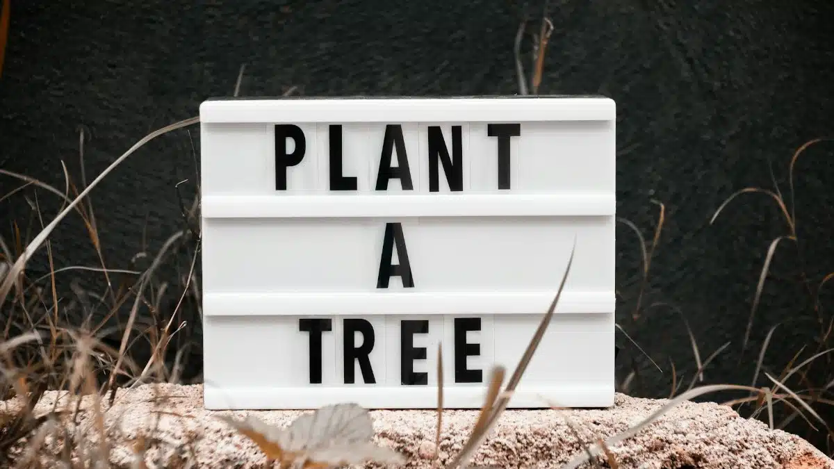 Close-up view of a letter board with the message 'Plant a Tree' placed outdoors among nature.