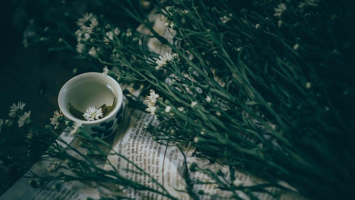 A ceramic cup filled with tea placed among white flowers and green leaves on a newspaper, creating a serene atmosphere.
