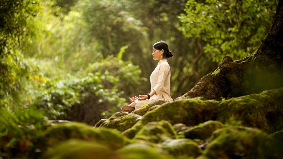 A woman in serene meditation in a lush forest, surrounded by trees and moss.