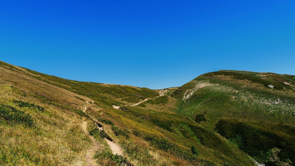 A tranquil mountain path winding through grassy hills under a clear blue sky in Гагра.