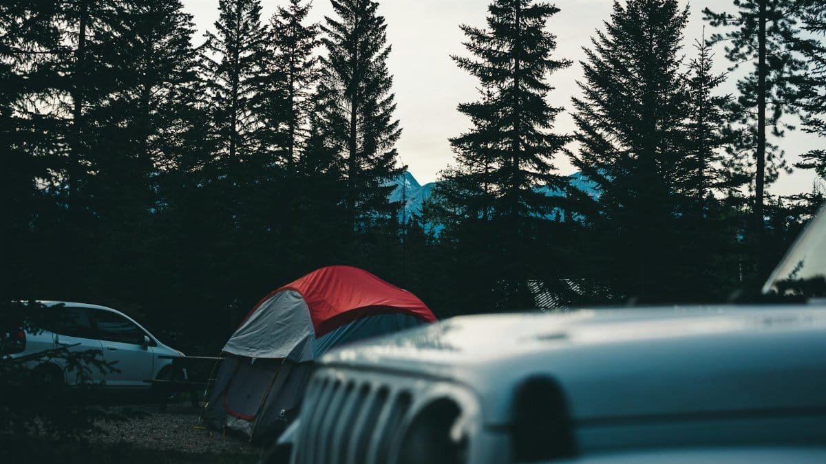 Camping scene in Jasper National Park with tents and vehicles in a forest setting.
