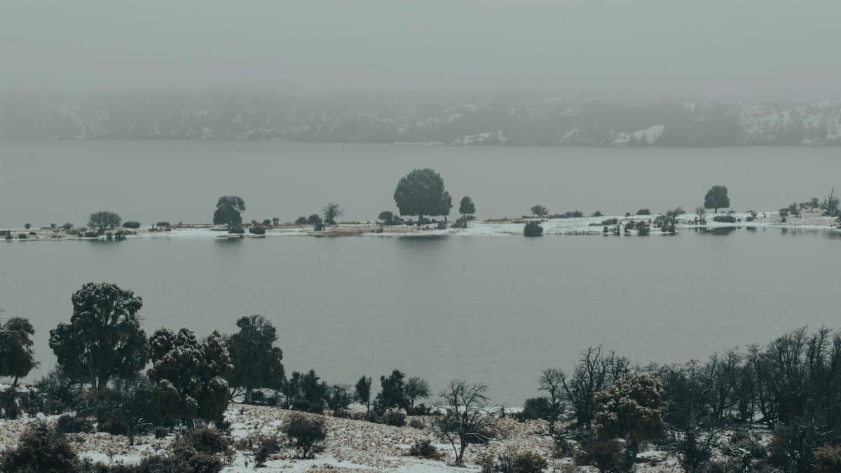 Peaceful winter lake scene with snow-dusted trees and calm water under a foggy sky.