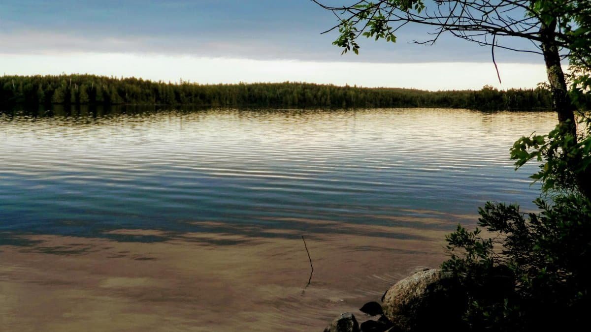 Calm lake scene with reflections and trees in Ely, MN.
