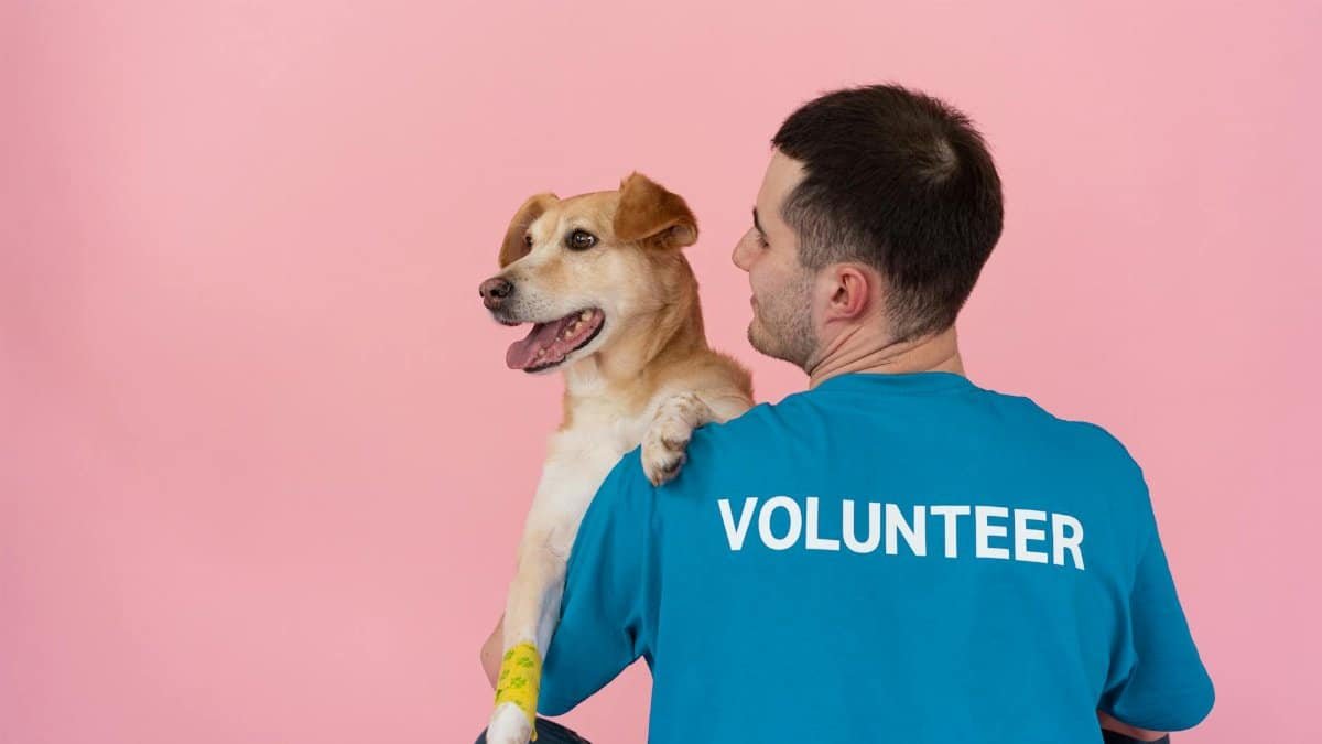 A cheerful volunteer holding a happy dog against a pink background.