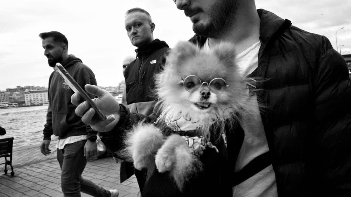 A man holds a stylish dog in İstanbul, capturing urban life on a smartphone.