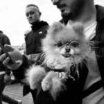 A man holds a stylish dog in İstanbul, capturing urban life on a smartphone.