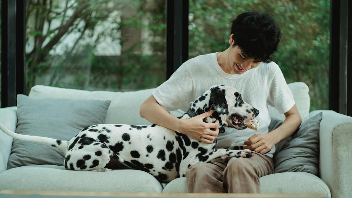 A man with a Dalmatian dog sitting on a sofa in a cozy living room setting.