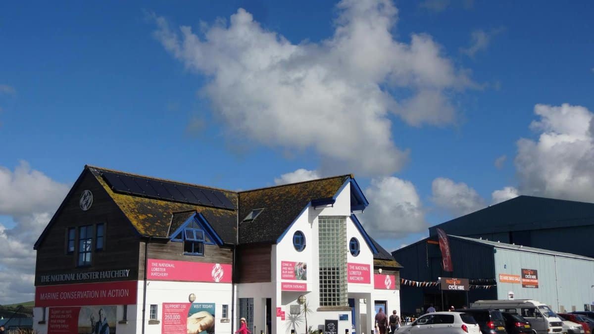 Free stock photo of art, atmosphere, beach