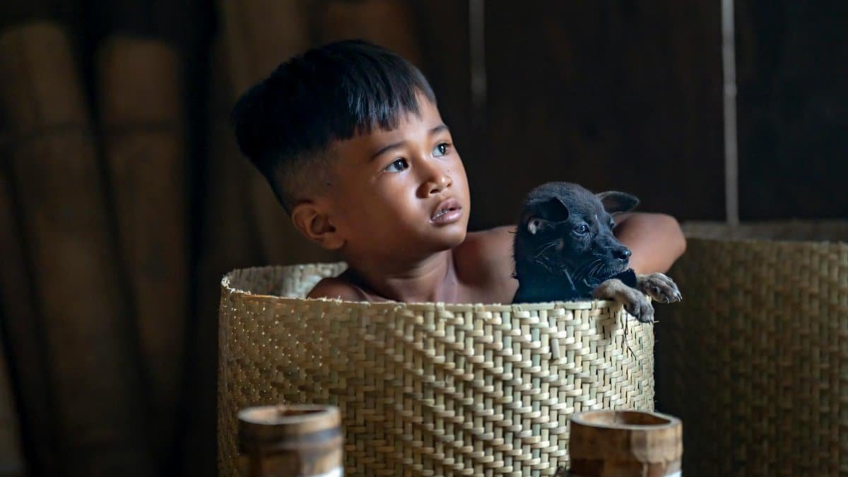 Heartwarming portrait of a child and puppy in a woven basket, a moment of innocence and curiosity.