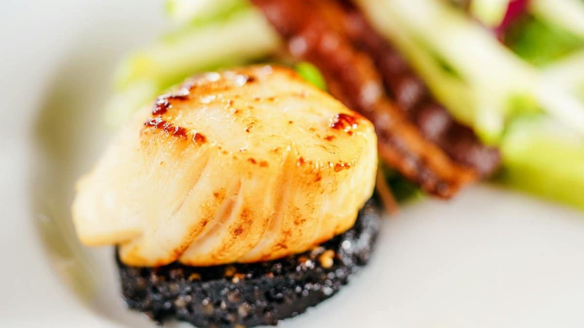 Close-up of a seared scallop on black pudding, garnished elegantly, showcasing fine dining cuisine.