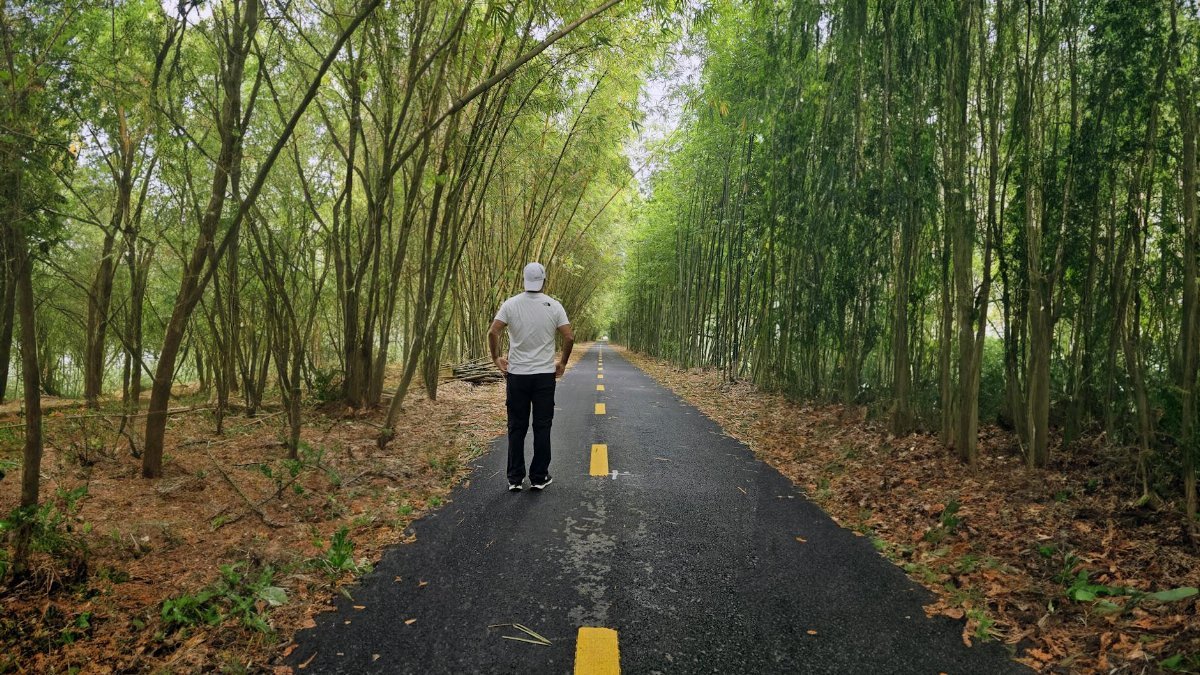 Solo person walking along a forest path in Cao Lãnh, Vietnam, surrounded by lush greenery.