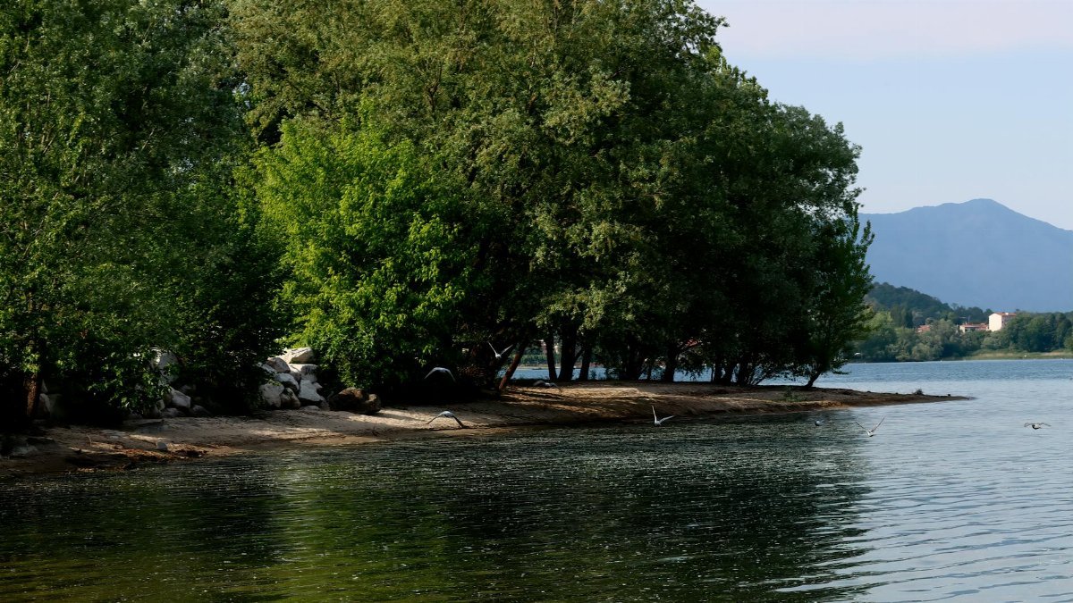 A tranquil lakeside view featuring lush greenery and distant mountains under a clear sky.