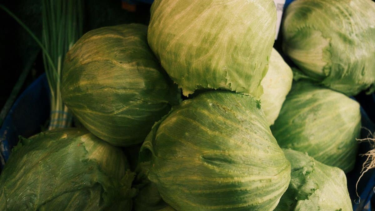 A stack of fresh green cabbages displayed at an outdoor market