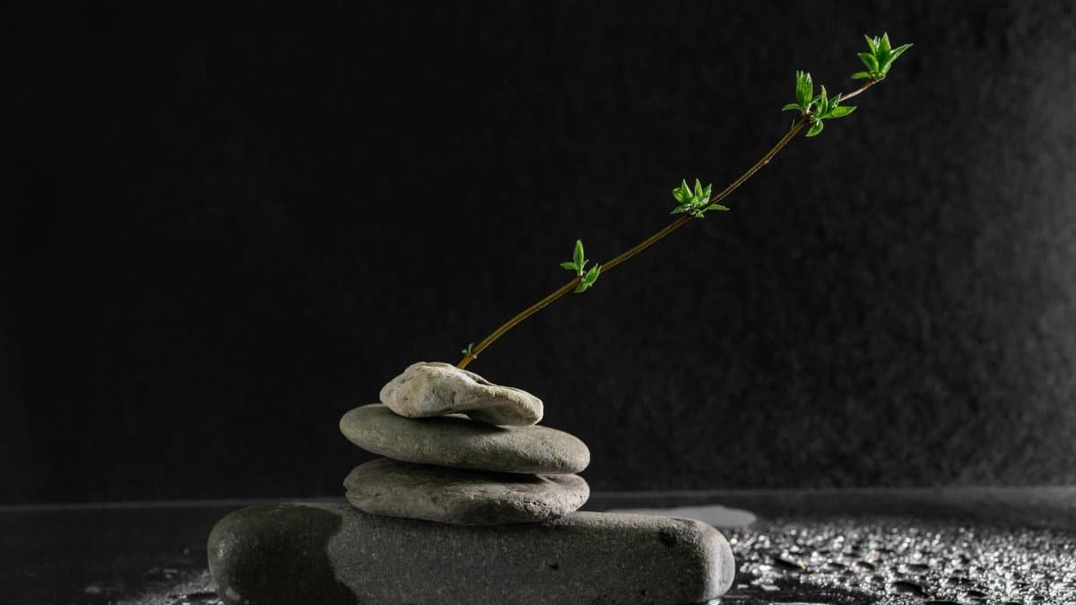 A serene still life of balanced stones and a stem with leaves on a dark, wet surface.