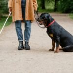 A blind woman walks with her guide dog along a park pathway, using a white cane for guidance.