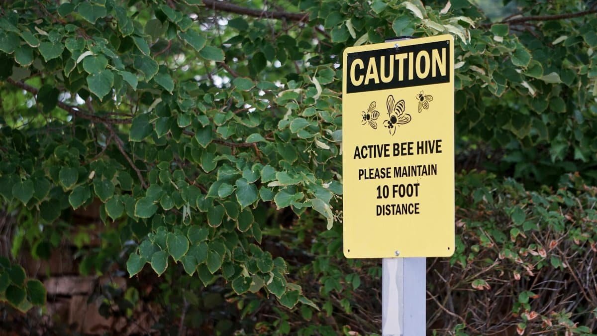 Yellow caution sign warning about active bee hive surrounded by green foliage.