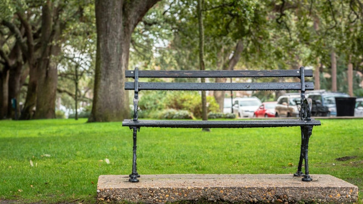 Peaceful park bench surrounded by lush greenery in Charleston, South Carolina.