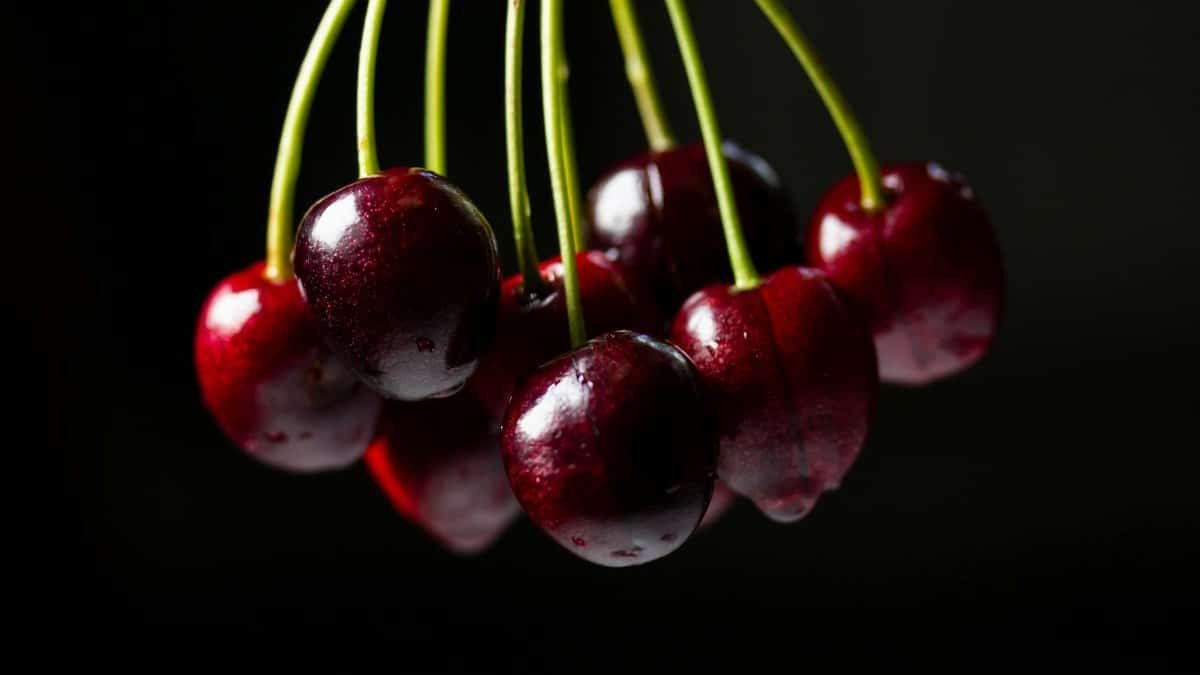 Vivid close-up of fresh, ripe cherries on stems, showcasing their vibrant red color on a dark background.