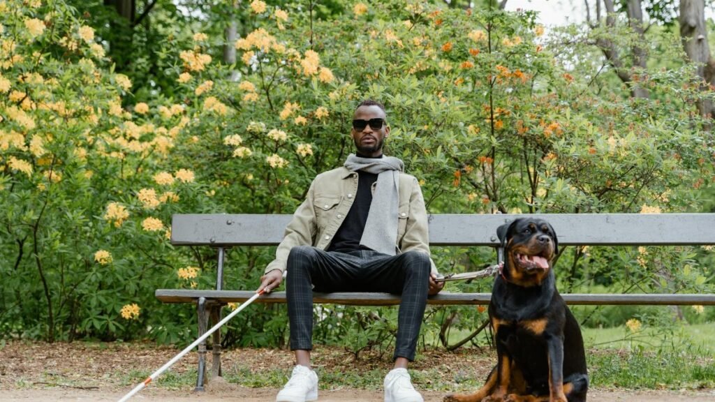 A blind man sits with his guide dog on a park bench, showcasing companionship and support.
