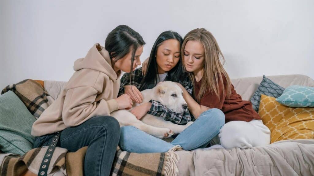 Three women sitting on a couch comforting with a dog, symbolizing support and friendship.