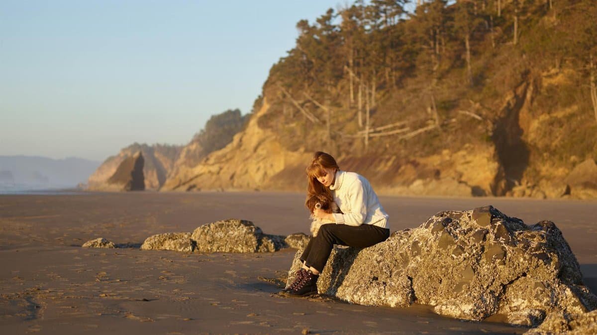 Caucasian woman sitting on rocks with her dog on a sunny beach.