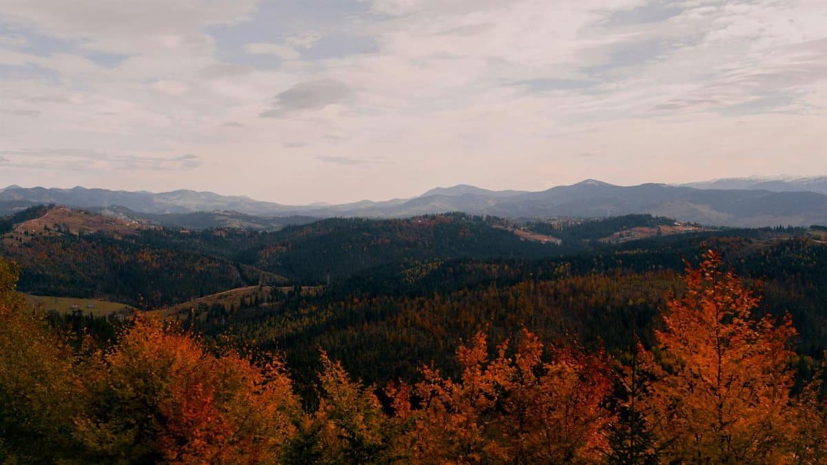 Majestic autumn view of rolling mountains and vibrant fall foliage under a cloudy sky.