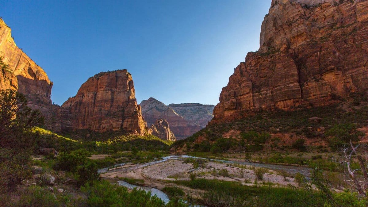Scenic landscape of Zion National Park with towering canyons and a winding river.