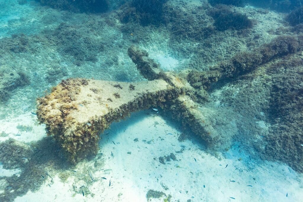 By Diego Delso, CC BY-SA 4.0, https://commons.wikimedia.org/w/index.php?curid=119021772