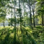 By Dietmar Rabich, CC BY-SA 4.0, https://commons.wikimedia.org/w/index.php?curid=32837390