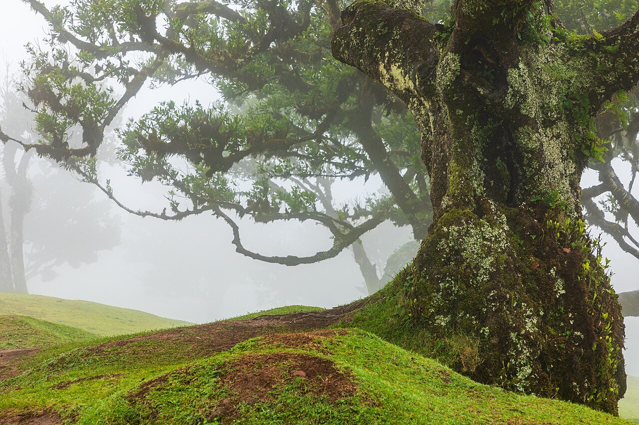 By Dietmar Rabich, CC BY-SA 4.0, https://commons.wikimedia.org/w/index.php?curid=179029983