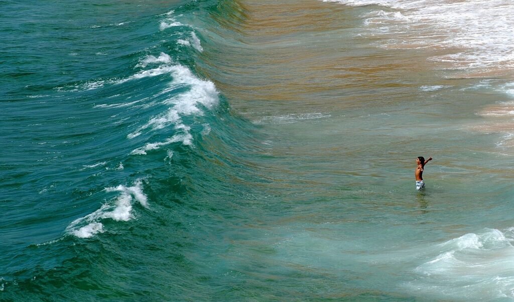 By Alvesgaspar - Own work, CC BY-SA 3.0, https://commons.wikimedia.org/w/index.php?curid=16126888