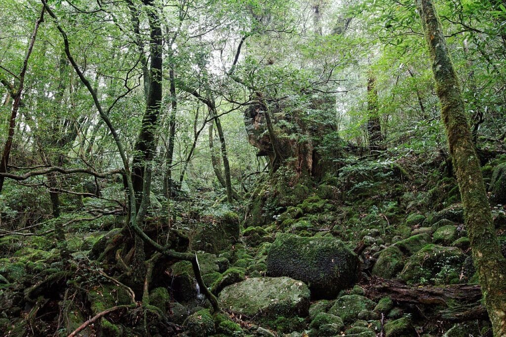 By KimonBerlin - https://www.flickr.com/photos/kimon/4196793828/, CC BY-SA 2.0, https://commons.wikimedia.org/w/index.php?curid=57597982