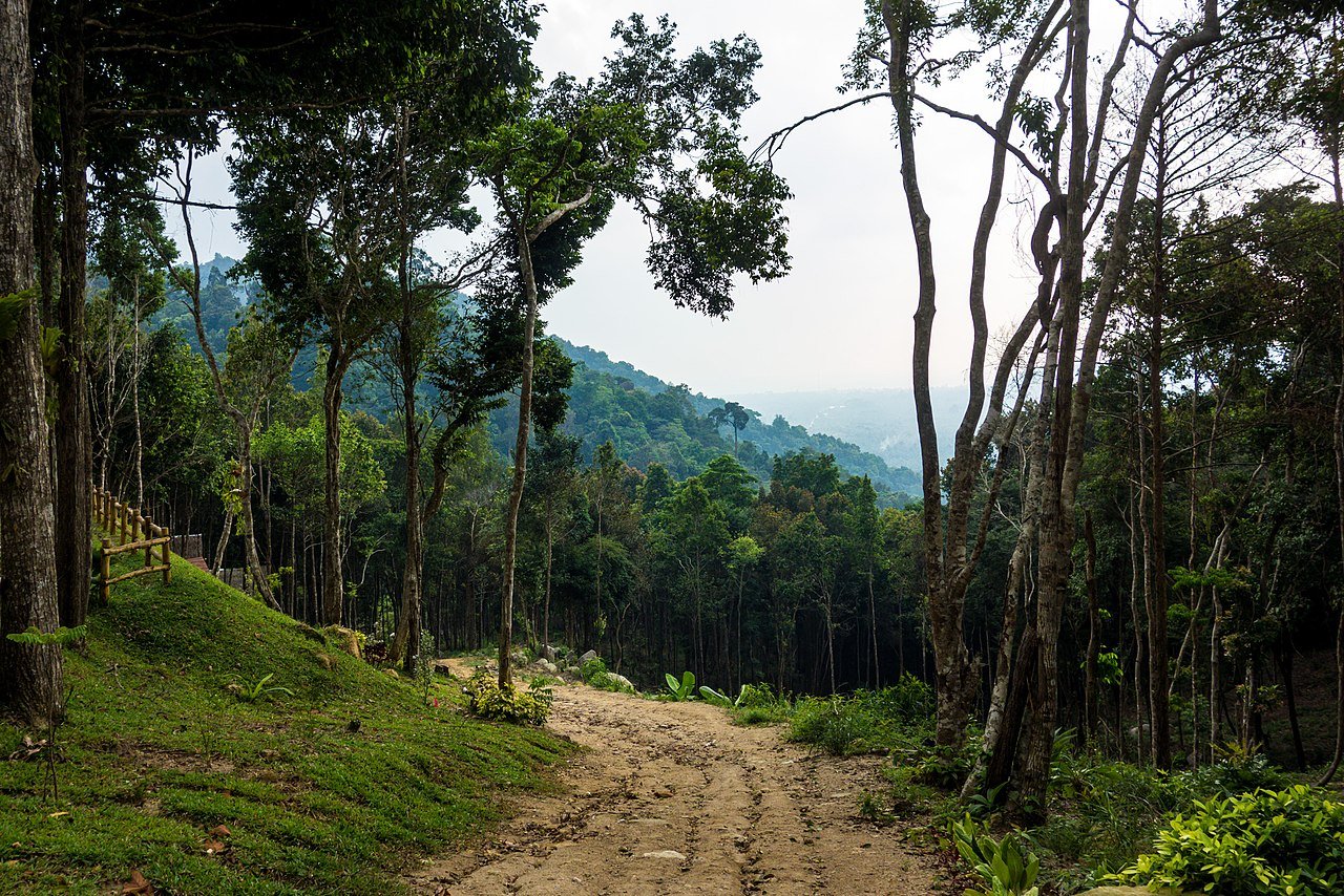 By Visions of Domino - https://www.flickr.com/photos/99092496@N00/25012795981/, CC BY 2.0, https://commons.wikimedia.org/w/index.php?curid=57482614