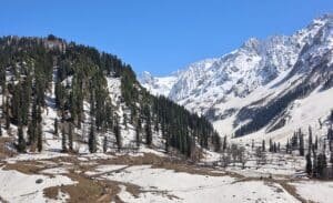 By Original: Ganesh Mohan TDerivative work: UnpetitproleX - This image has been extracted from another file, CC BY 4.0, https://commons.wikimedia.org/w/index.php?curid=176307737