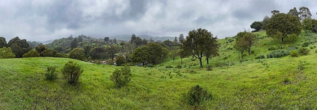 By Tim-desser - Own work, CC0, https://commons.wikimedia.org/w/index.php?curid=150477853