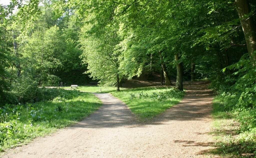 By S.Juhl - Own work, Public Domain, https://commons.wikimedia.org/w/index.php?curid=8719028