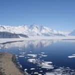 By Andrew Mandemaker - Photo taken by Andrew Mandemaker., CC BY-SA 2.5, https://commons.wikimedia.org/w/index.php?curid=698644