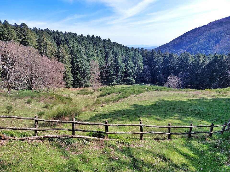 By Anna.Massini - Own work, CC BY-SA 4.0, https://commons.wikimedia.org/w/index.php?curid=149406529