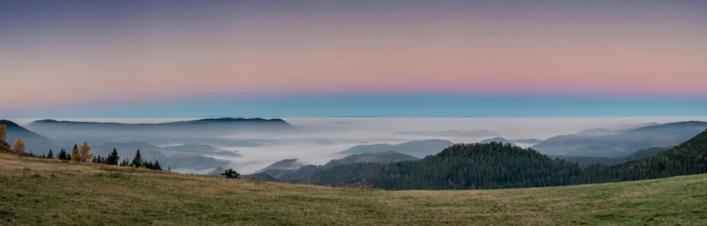 By Schwarzwert Naturfotografie - Black Forest, CC BY 2.0, https://commons.wikimedia.org/w/index.php?curid=110506817