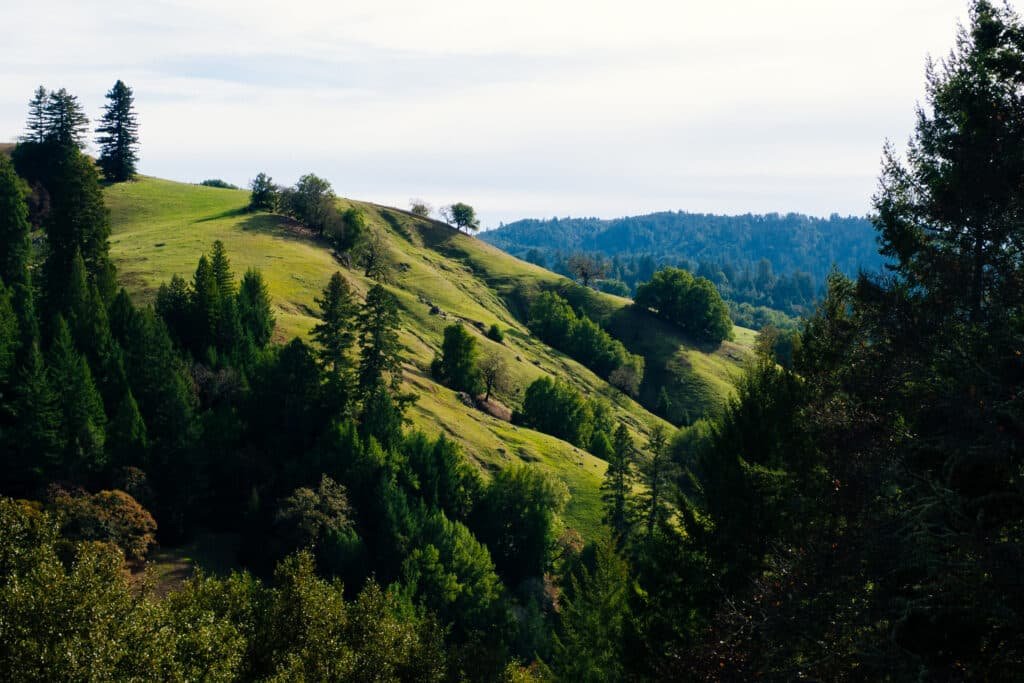 By Jeff Dlouhy - https://www.flickr.com/photos/jdlouhy/15630566209/, CC BY 2.0, https://commons.wikimedia.org/w/index.php?curid=95072943