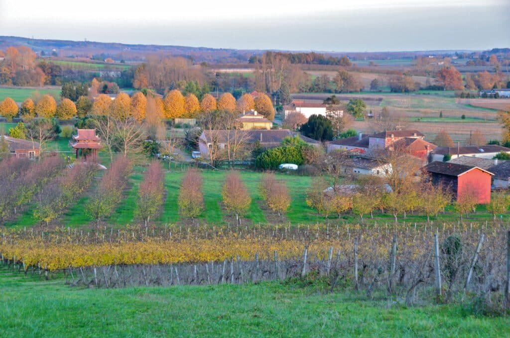 By Geoff Livingston - Flickr: New Hamlet - Plum Village, CC BY-SA 2.0, https://commons.wikimedia.org/w/index.php?curid=28210930