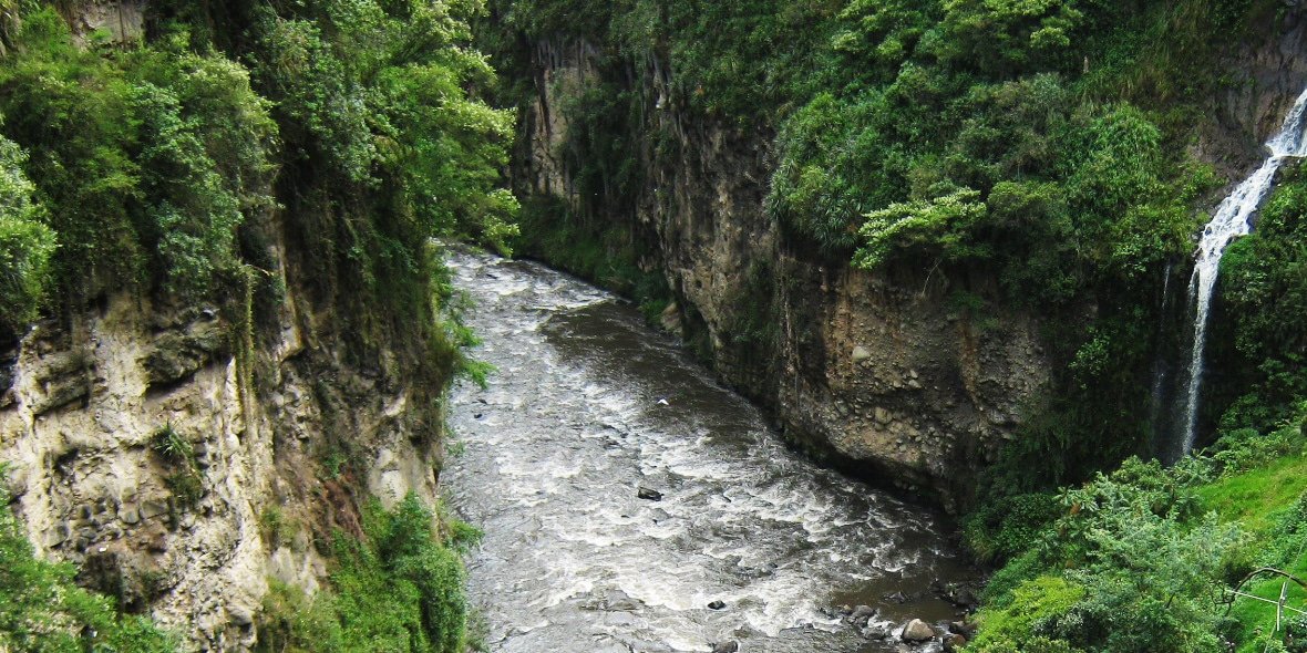 By Jimena Espinoza Muñoz - Own work, CC BY-SA 3.0, https://commons.wikimedia.org/w/index.php?curid=89331804