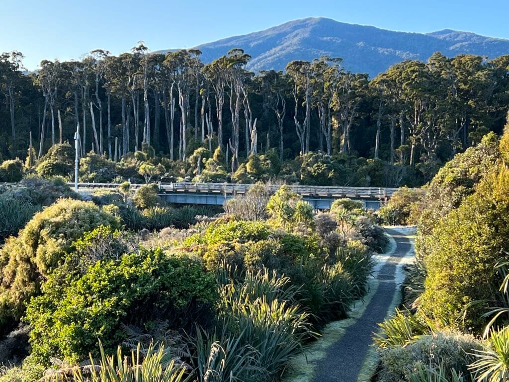 By Mike Dickison - Own work, CC BY 4.0, https://commons.wikimedia.org/w/index.php?curid=122332236