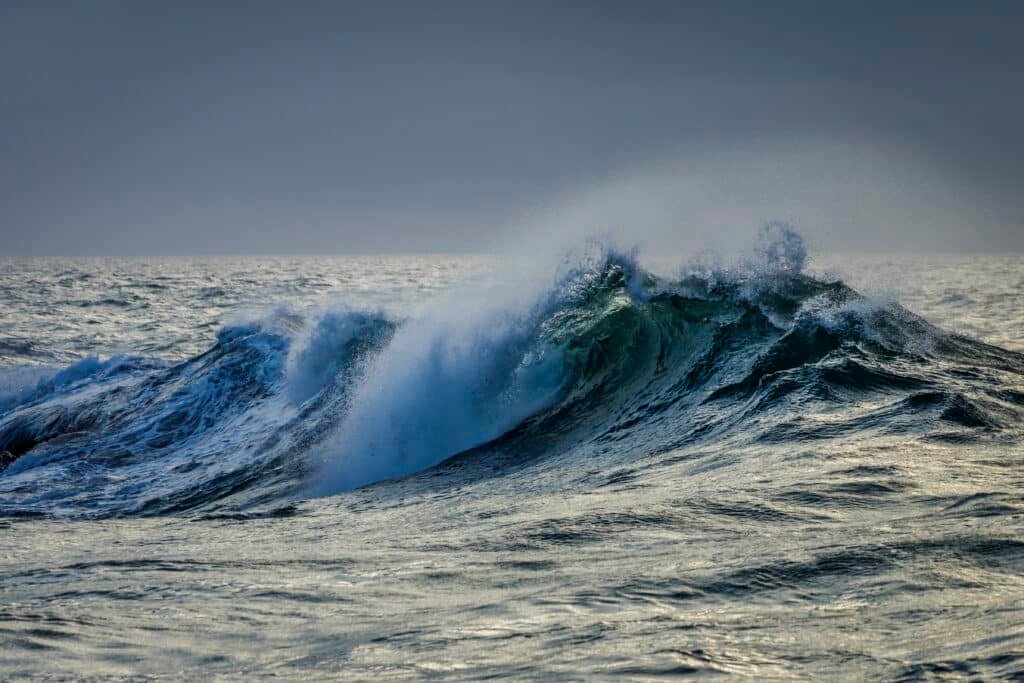 By Thomas Fuhrmann - Own work, CC BY-SA 4.0, https://commons.wikimedia.org/w/index.php?curid=130842368