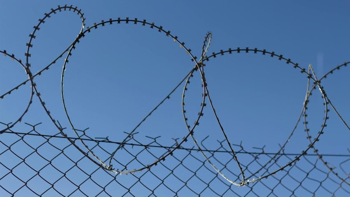 A detailed shot of a barbed wire fence set against a cloudless blue sky, symbolizing security.