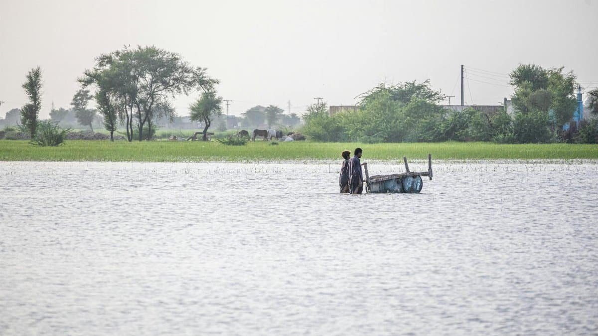 Children navigating floodwaters with a cart in Gandakha City, showcasing rural vulnerability.