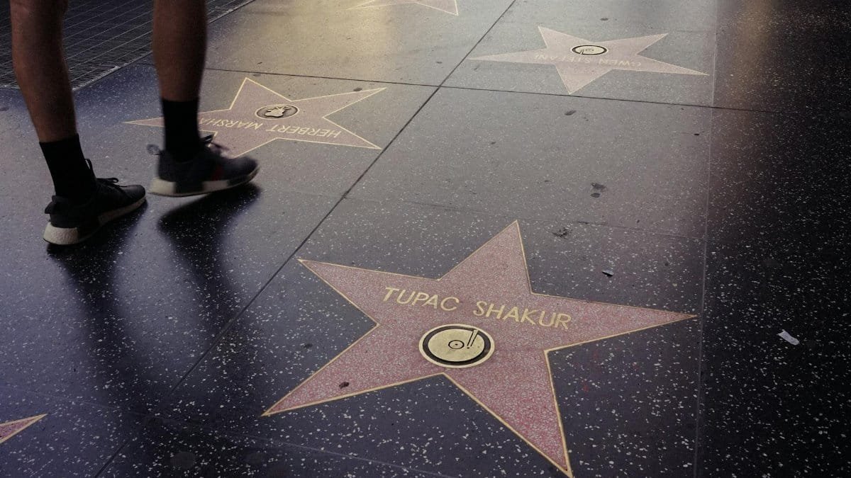 Photo of Hollywood Walk of Fame stars including famous names on a sidewalk.