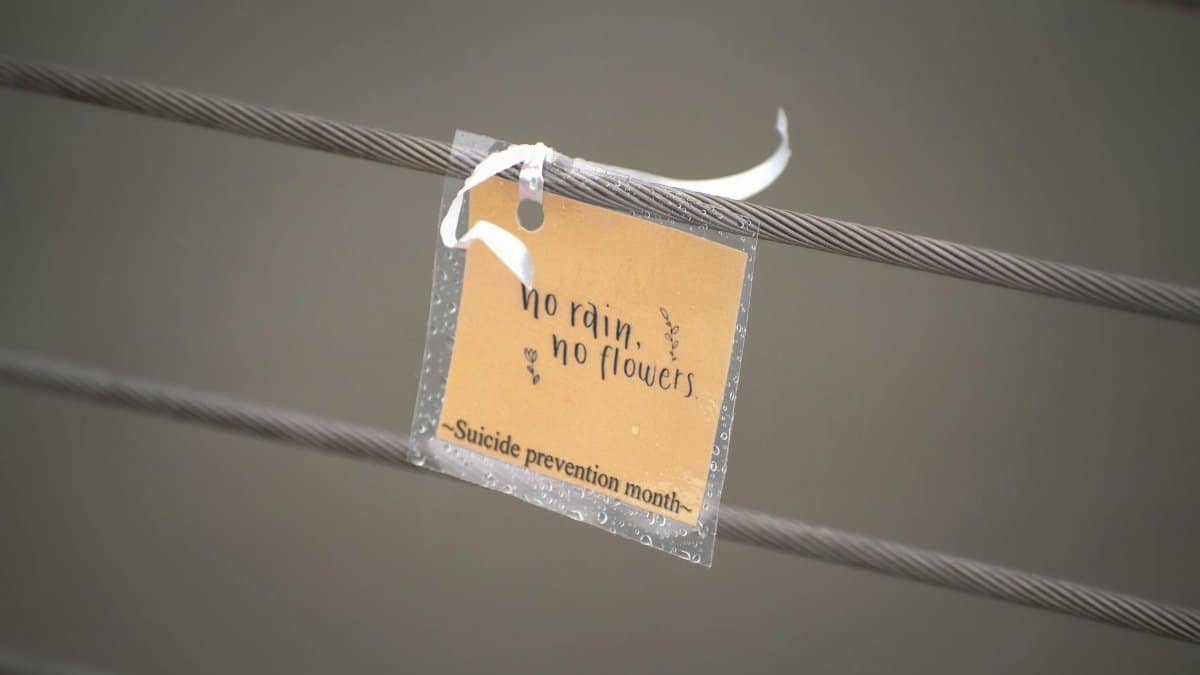 Motivational message on a tag promoting suicide prevention with 'No rain, no flowers' text.