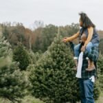Side view of African American dad carrying girl on shoulders while touching fir tree branches cultivating for Christmas